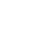 Fast Delivery